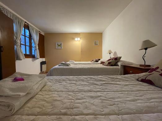 Hotel Pinto Terraza Esquel Bagian luar foto